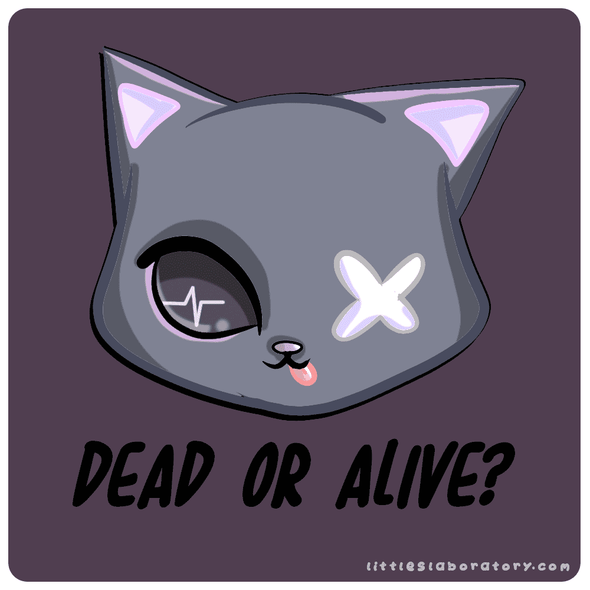Dead or Alive Schrodinger's Cat Sticker